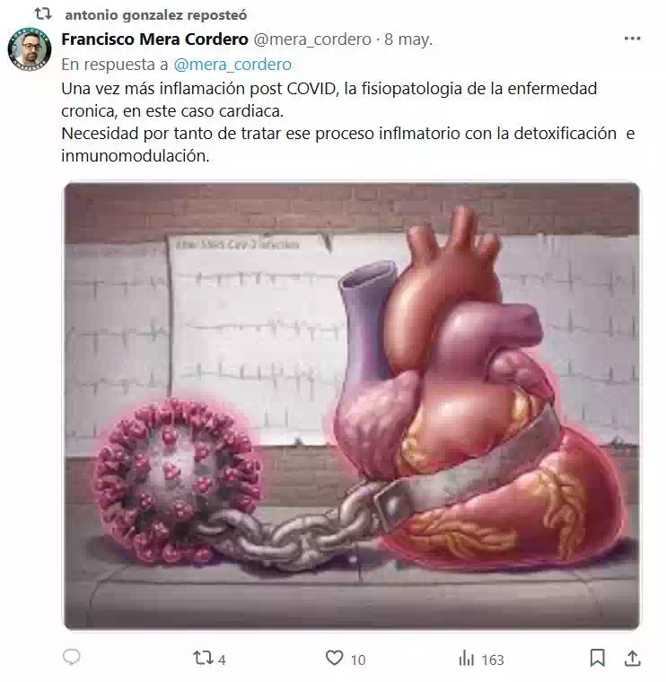 SARSCOV2 LESIONA EL CORAZÓN